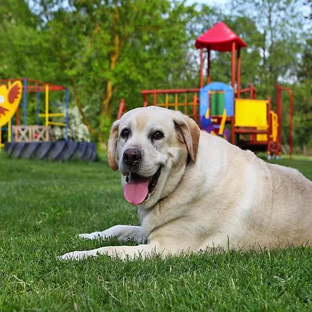 Feriehus At The Kummerower In Verchen