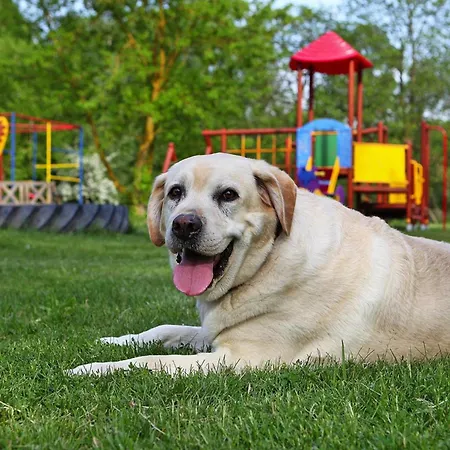 At The Kummerower In Feriehus Verchen