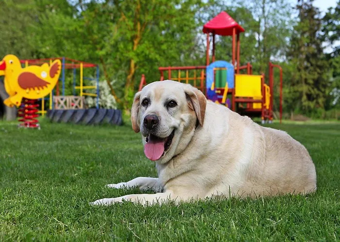Vakantiehuis At The Kummerower In Verchen