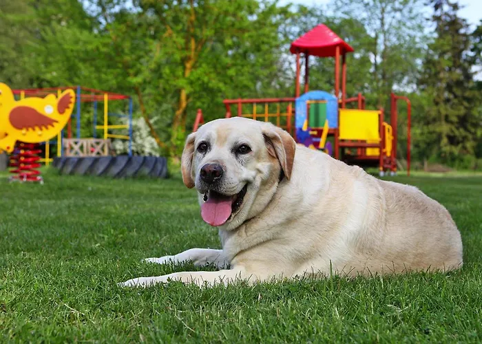 At The Kummerower In Vakantiehuis Verchen